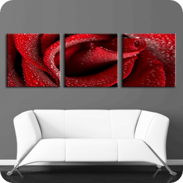 Leinwand-Bilder | Leinwandbild Rose No.2