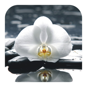 Bild zu Anti Rutsch Sticker Orchidee