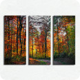 Leinwandbild Herbstwald - Bild 3