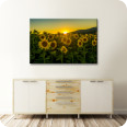 Leinwandbild Sonnenblumen - Bild 2