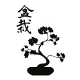 Wandtattoo Bonsai - Bild 3