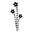 Wandtattoo Zauberblume - Bild 3