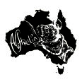 Wandtattoo Australien Umriss Koala - Bild 3