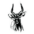 Wandtattoo Gazelle - Bild 3