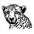 Wandtattoo Gepard - Bild 3