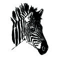 Wandtattoo Zebrakopf - Bild 3