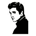 Wandtattoo Elvis Presley - Bild 3