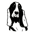 Wandtattoo Basset Hound - Bild 3