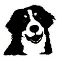 Wandtattoo Berner Sennenhund - Bild 3