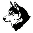 Wandtattoo Husky - Bild 3