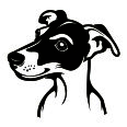 Wandtattoo Jack Russel Terrier - Bild 3